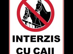 Placuta caii interzis cu caii